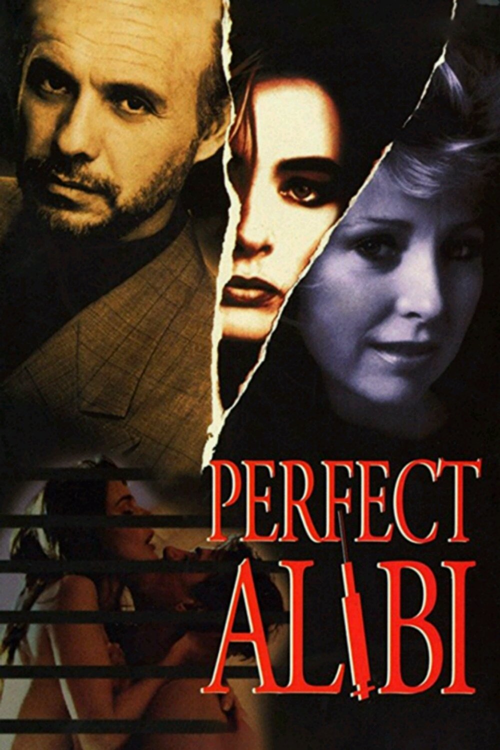 Постер Perfect Alibi
